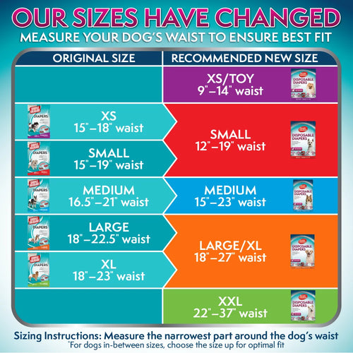 Disposable Female Dog Diapers, Medium, 12 Count