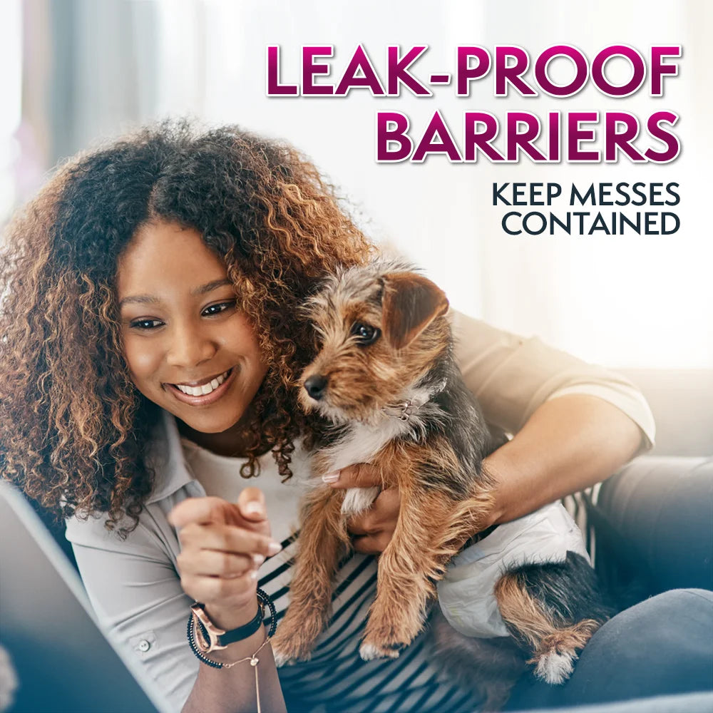 Disposable Female Dog Diapers, Medium, 12 Count