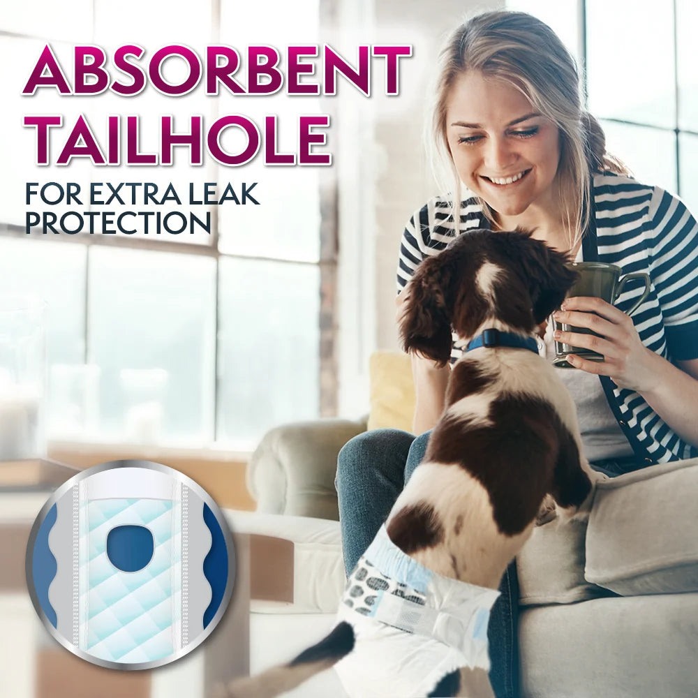 Disposable Female Dog Diapers, Medium, 12 Count