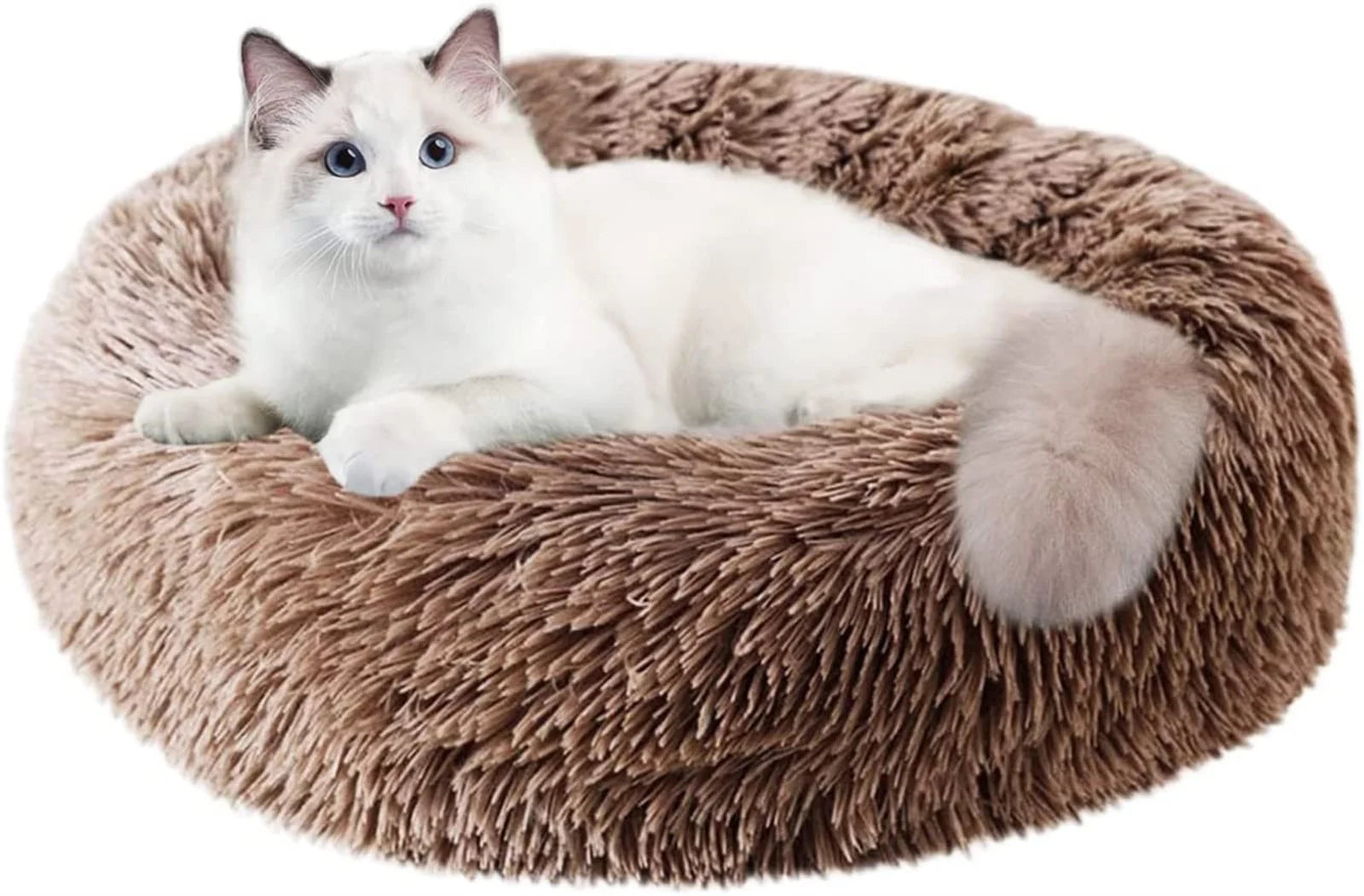 Calming Donut Dog Bed Anti-Anxiety, Self Warming, Cozy Soft Plush round Pet Bed, Ideal for Both Home & Travel, 20"L X 20"W X 8"H
