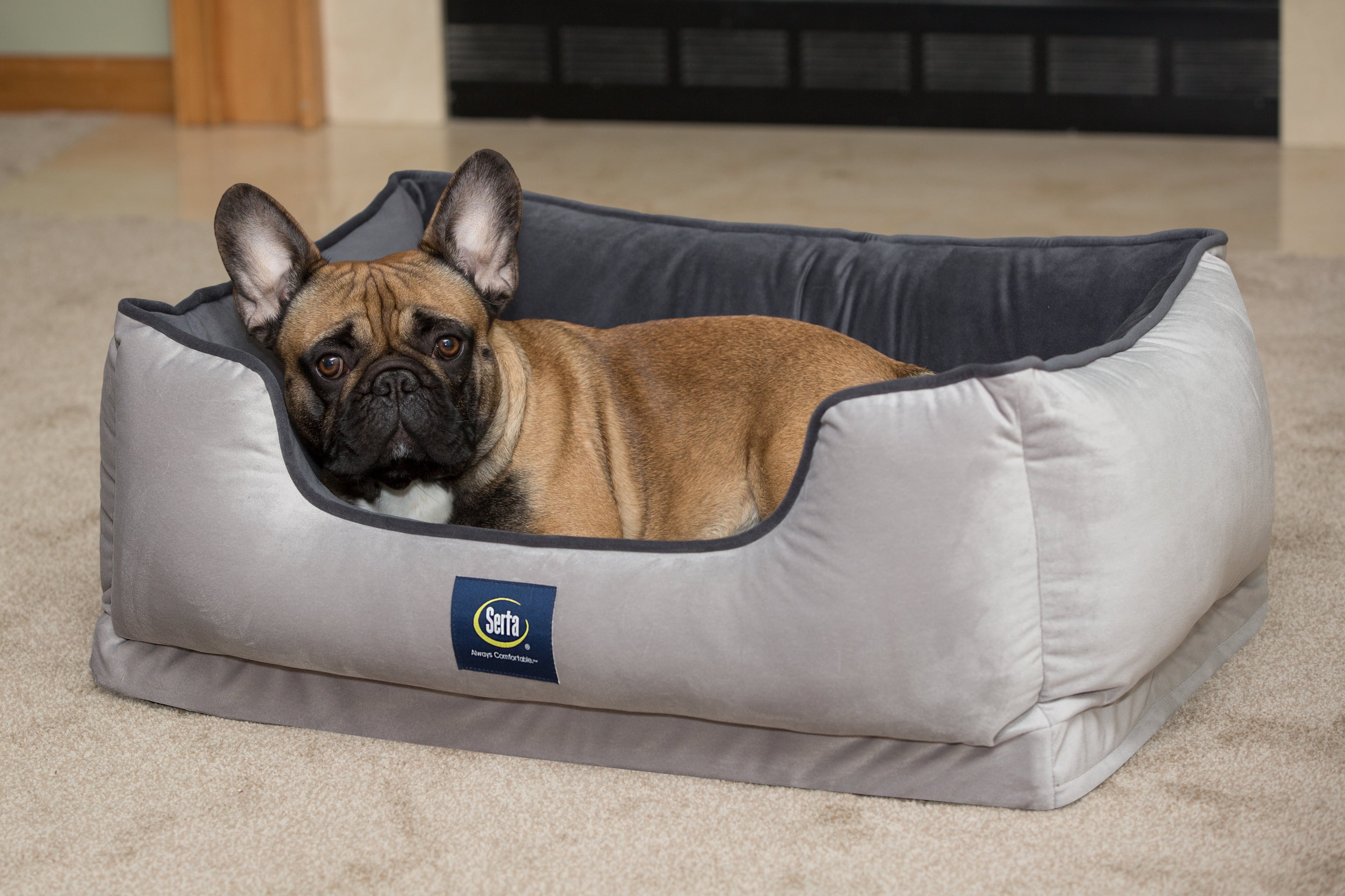 Ortho Cuddler Pet Bed, Large